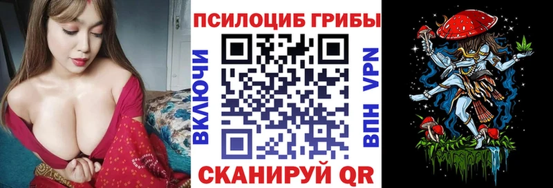 Псилоцибиновые грибы Psilocybine cubensis  закладки  Красково 