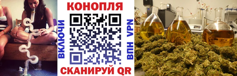 Канабис гибрид Красково